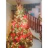 Árbol de Navidad de Ana Lidia Rodriguez (San Pedro de Macoris, República Dominicana)