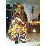 Janette Rodriguez's Christmas tree from Venezuela
