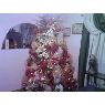Adward y Yaqueline  's Christmas tree from Maracaibo, Venezuela