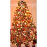 Weihnachtsbaum von Mrs Tracey Ozwell (Thatcham, Berkshire, England)