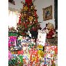 Anyull Milena Rincon's Christmas tree from Cucuta, Colombia