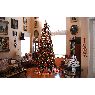 Bonnie 's Christmas tree from Lake Worth, FL, USA