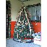 Familia Gallardo A.'s Christmas tree from Colon, Panamá
