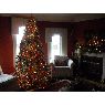 Weihnachtsbaum von Andrew King (Sarina, Ontario, Canada)