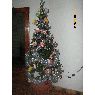 Bernarda Lima's Christmas tree from Bella Unión, Uruguay