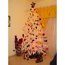 Ana Delia's Christmas tree from Tenerife, España