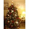Ada Caraballo's Christmas tree from Boston, MA, USA