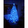 Weihnachtsbaum von Matthew Golden (Windsor, Ontario, Canada)