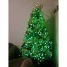 Jamilton Alexander Lovo Yanes's Christmas tree from El Salvador