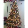 Medicina del Deporte's Christmas tree from México D.F, México