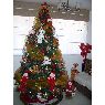 Maryluz Gonzalez 's Christmas tree from Bogota, Colombia