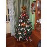 Noelia's Christmas tree from Santander, España
