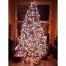 Laura Gittemeier's Christmas tree from St.Louis, MO, USA