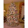 Daria M's Christmas tree from York, PA, USA