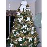 Weihnachtsbaum von Letitia Clementi (Orlando, FL, USA)