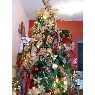 Sergio Montoya's Christmas tree from Veracruz, México