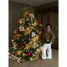 Xena's Christmas tree from Louisiana, USA