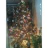 Albina Gonzalez's Christmas tree from Barcelona, Venezuela