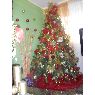 Cecilia Sojo's Christmas tree from Venezuela