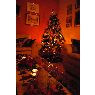 Carmen Pastran's Christmas tree from Roma