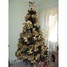 Mildred Madrid's Christmas tree from San Pedro Sula, Honduras