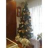 Árbol de Navidad de Marili y Reca (Basauri, España)