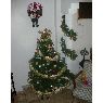 Ketty Victoria Calle Pino's Christmas tree from Guayaquil, Ecuador