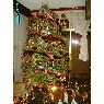 Angelica Ruiz Macias's Christmas tree from Tlalnepantla, México