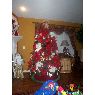 Enza Palazzolo's Christmas tree from USA