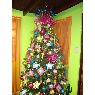 Árbol de Navidad de Vilmary Cabrera (Mayaguez, Puerto Rico)