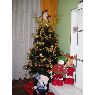 Amaya Mateo's Christmas tree from Vizcaya, España