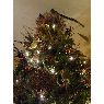 Sapin de No�l de Jenelle Vincel (Texas, USA)