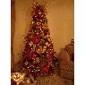 Marisol Castillo's Christmas tree from Maracaibo, Venezuela 
