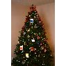 Christina Reed's Christmas tree from USA