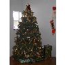 Árbol de Navidad de Billy Betoney III (Bellemont, AZ, USA)