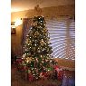 Ryan Garrett's Christmas tree from Dallas, Texas, USA
