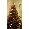 Rita's Christmas tree from USA