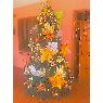 Familia Brito's Christmas tree from Puerto Ordaz, Venezuela