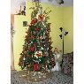 JP's Christmas tree from Puerto Rico