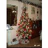Angelo Paolo's Christmas tree from Rosario, Santa Fe, Argentina