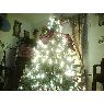 Weihnachtsbaum von Sonja Stuart (USA)