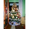 Carlos Fabian's Christmas tree from Logroño, España