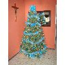 Ilsa Nidia Gonzalez de Varela's Christmas tree from Gomez Palacio, Dgo., México