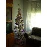 Celia Be's Christmas tree from Canelones, Uruguay