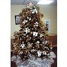 Darleen Piechura's Christmas tree from Milwaukee, WI, USA