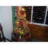 Alexandra Vasquez's Christmas tree from Catia la Mar, Edo Vargas, Venezuela
