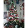 Emilio Coc's Christmas tree from Guatemala