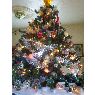Edi Brennan's Christmas tree from Canada