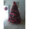 Weihnachtsbaum von Susana Hans de Nessi (Maracay, Aragua, Venezuela)