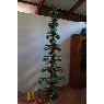 Camila Fierro's Christmas tree from Chillán, Chile